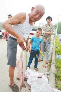 汝州爆料新闻,揭秘当地民生热点事件背后的真相  第1张